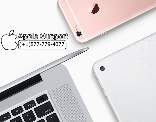 mac support number