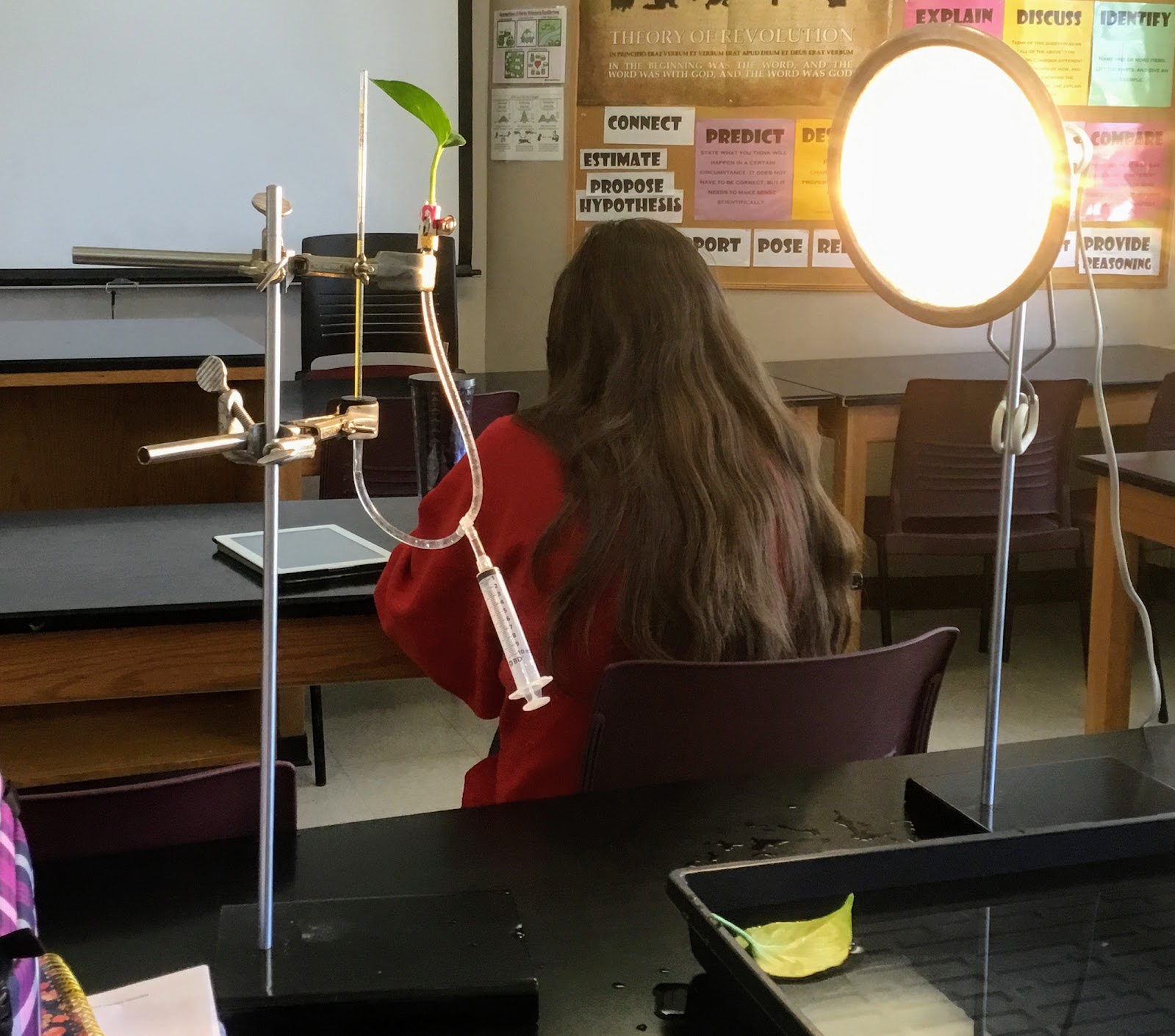 Biology by the Math Mom Transpiration Lab for AP Biology