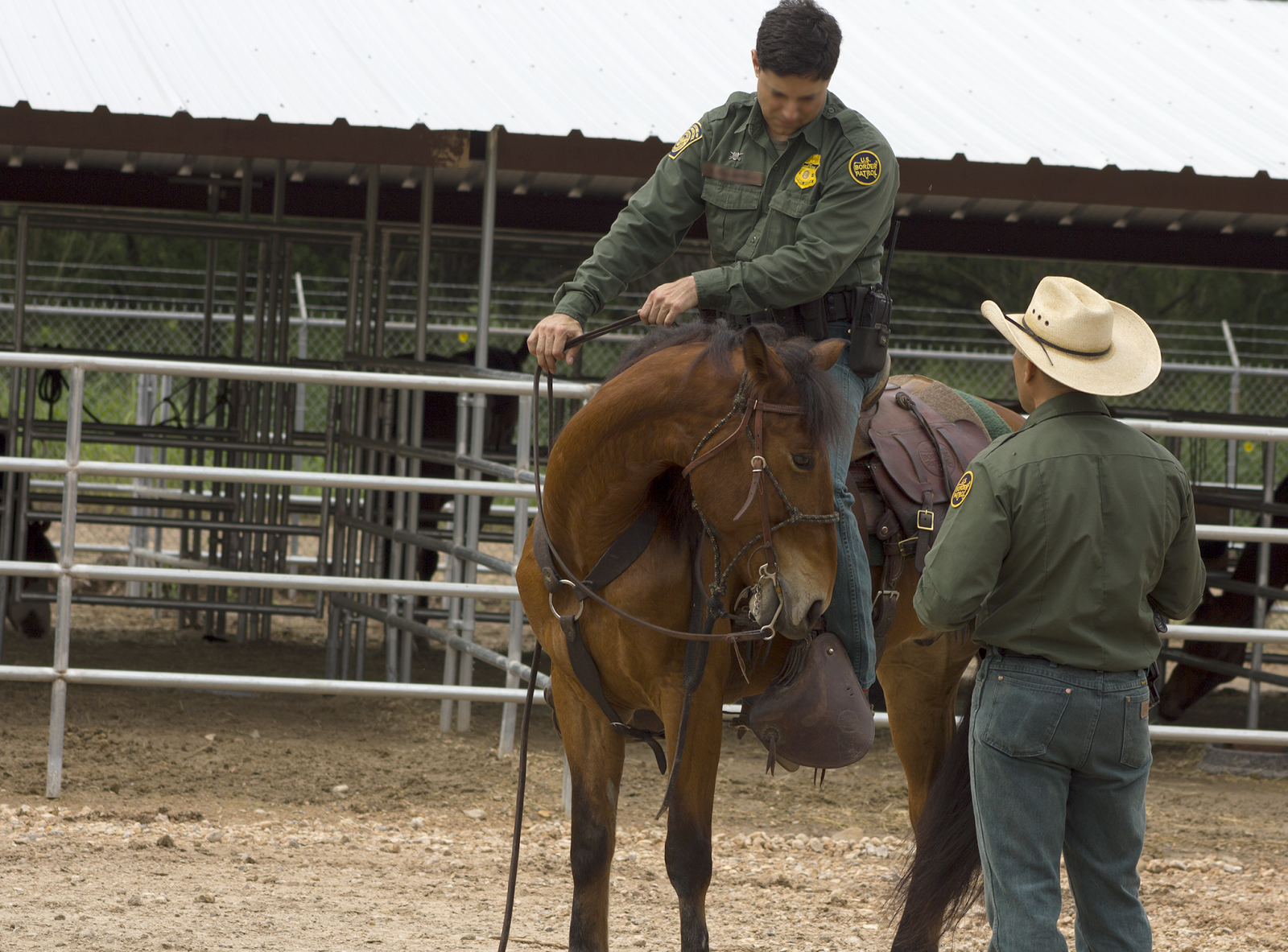 Fulltime Adventure Border Patrol Horse Patrol