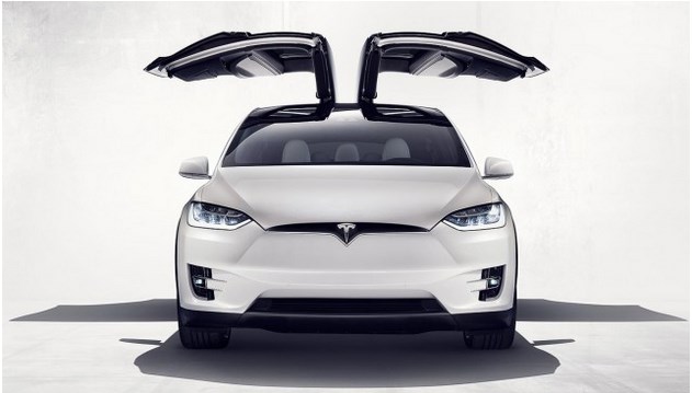 Model X doors