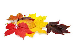 leaves background autumn fall shakeology clipping path colorful vanilla recipes happy colourbox