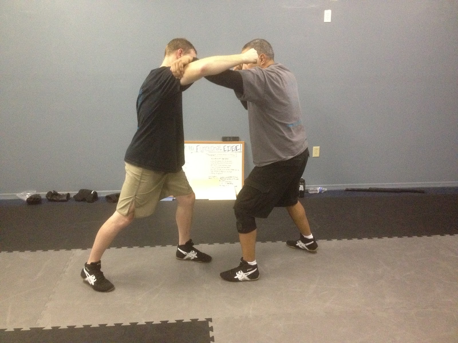 Functional Edge System January 2012