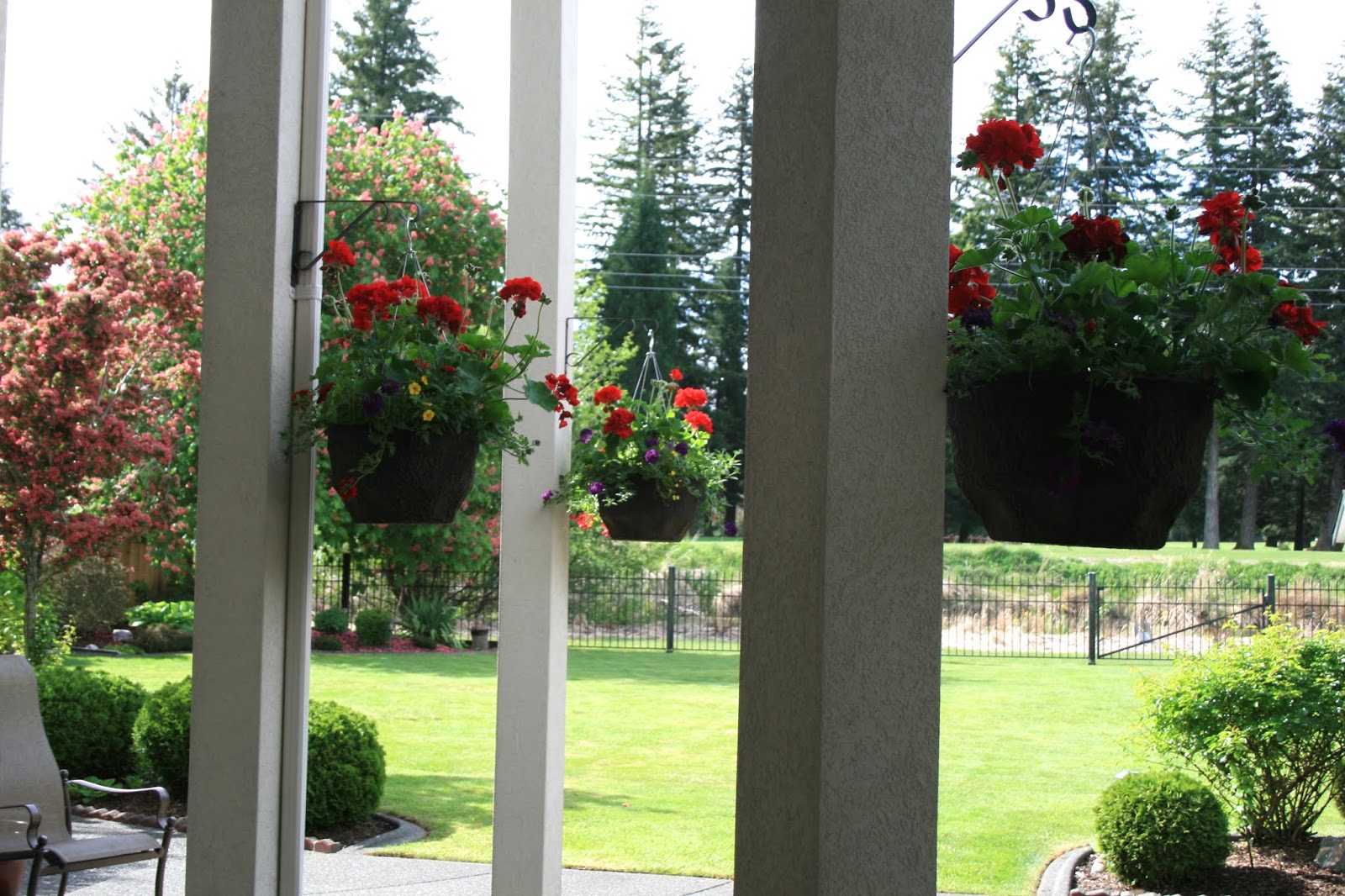 Thrums Flower Petals and Lace