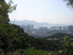 Jungle view of Kowloon