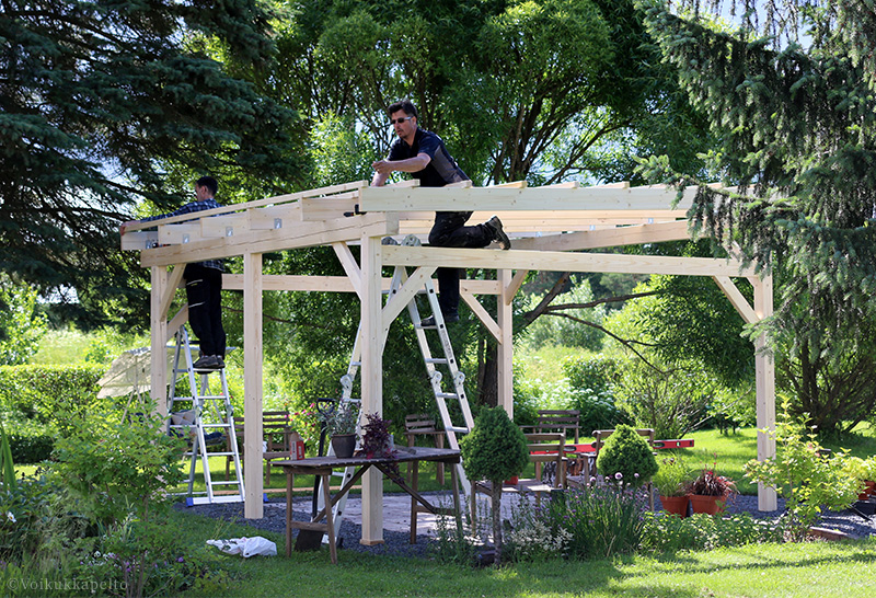 Pergola! | Voikukkapelto