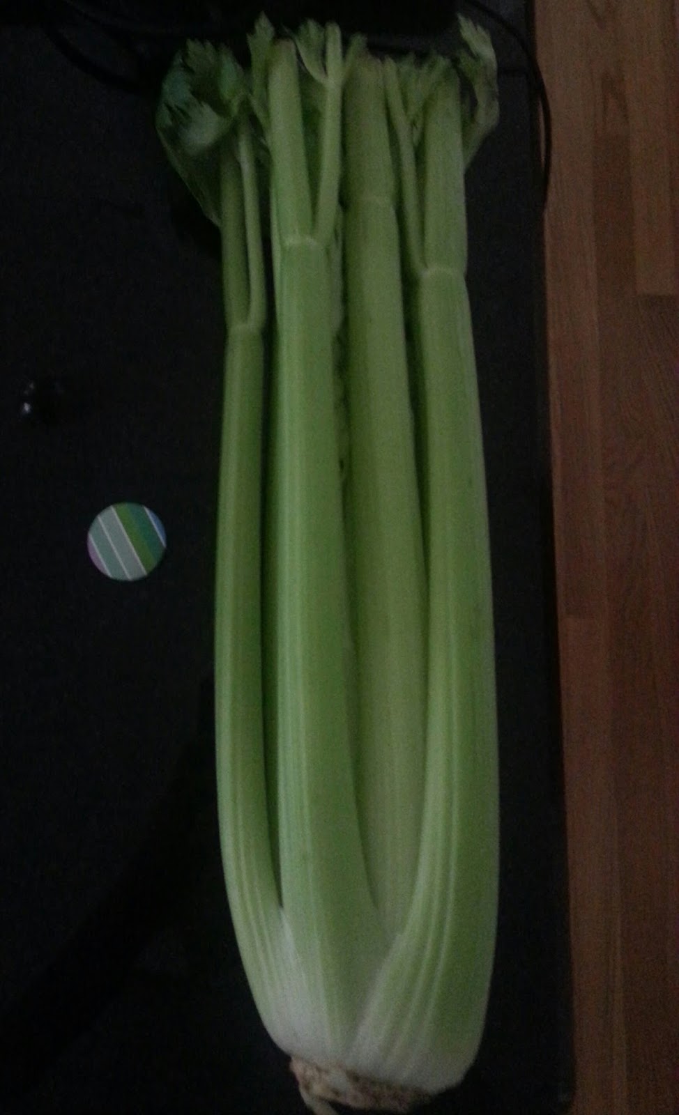 Biology Collection Photo Blog Modified Leaf of a Plant