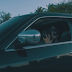 Shark libera clipe da faixa "Passa Rápido"; confira