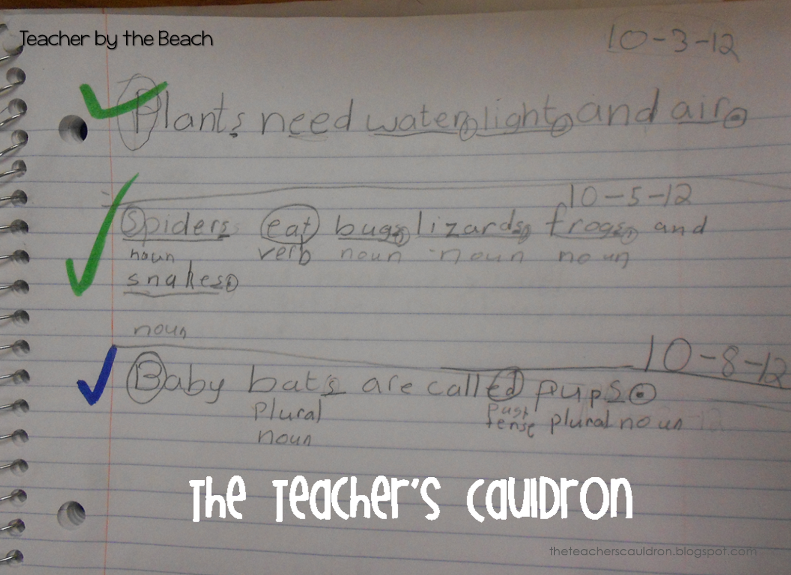 sentence-imitation-for-any-grade-teacher-by-the-beach