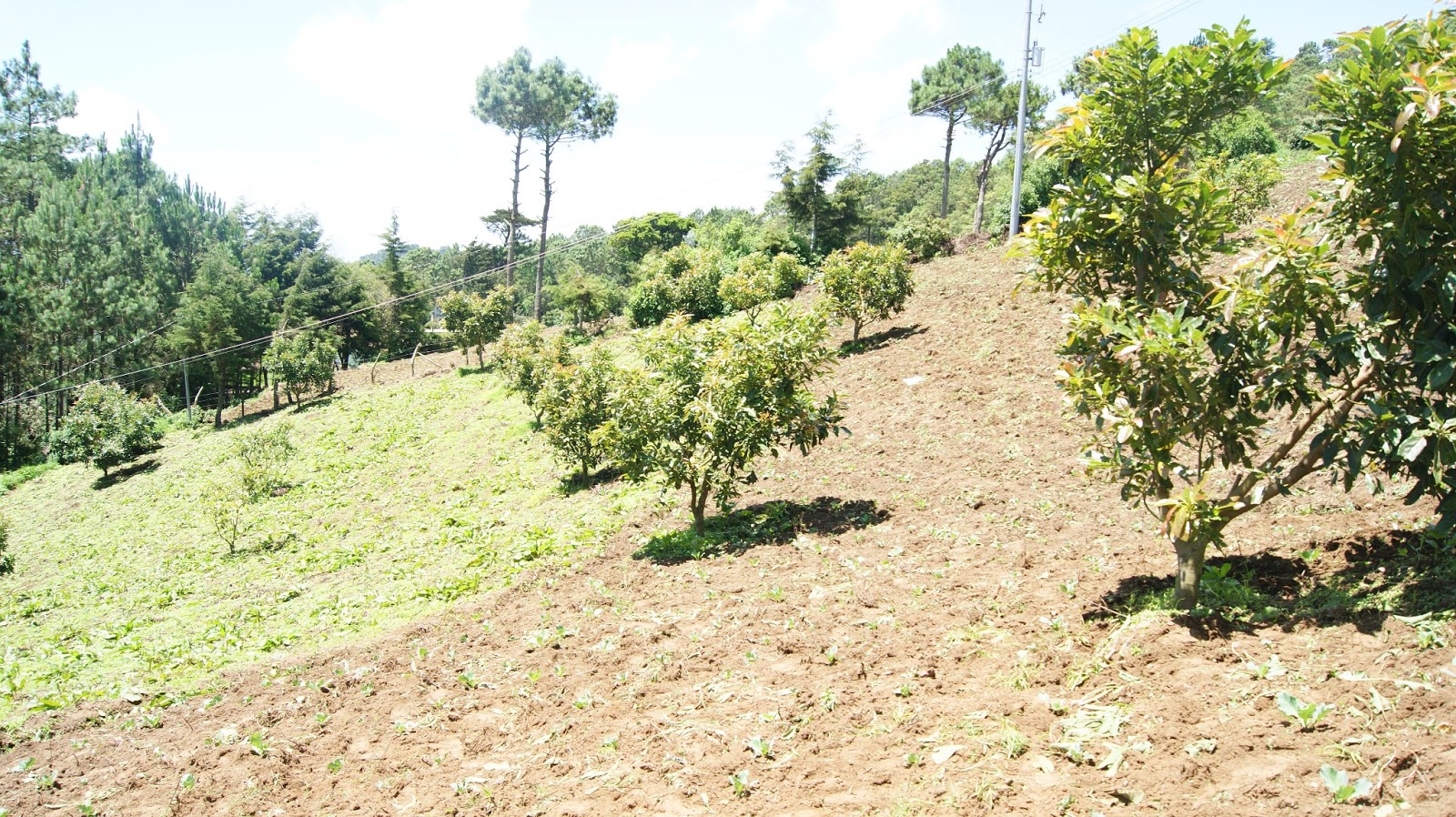 Venta de Terrenos en Miramundo Chalatenango El Salvador Venta Terrenos