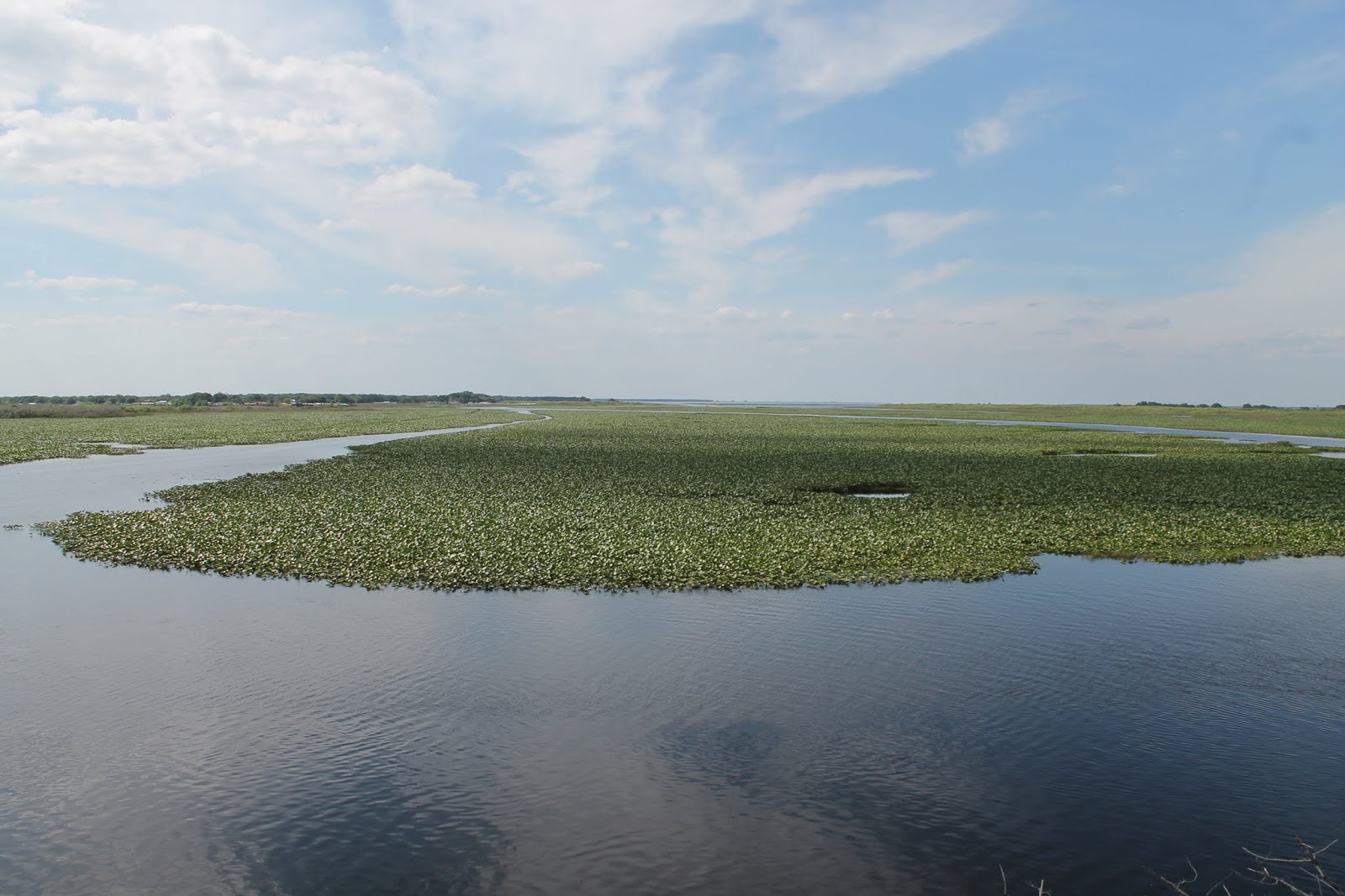 Kissimmee River Kissimmee River