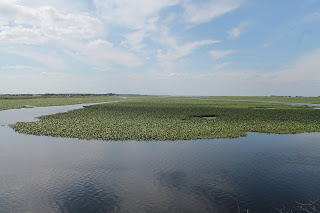 Kissimmee River Kissimmee River