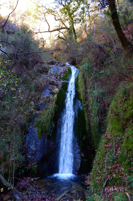 Cascada Celón - Los Oscos - Asturias Cascada Celón - Los Oscos - Asturias