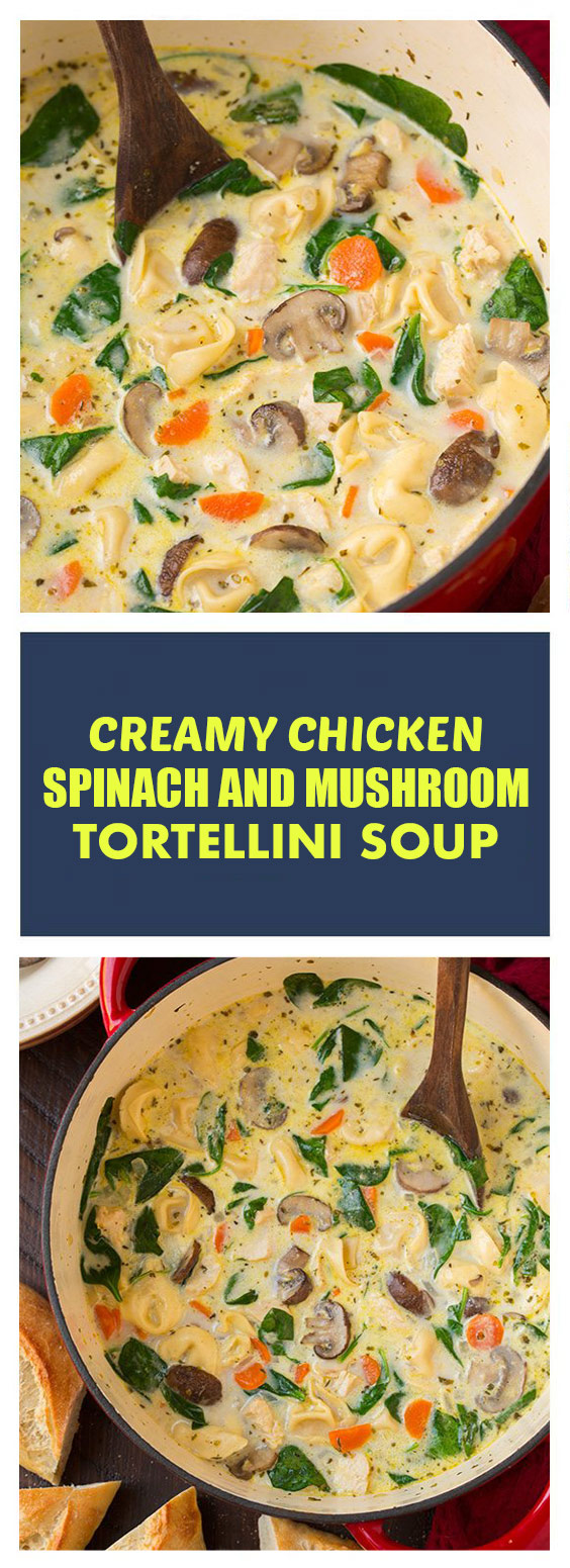 Creamy Chicken, Spinach and Mushroom Tortellini Soup