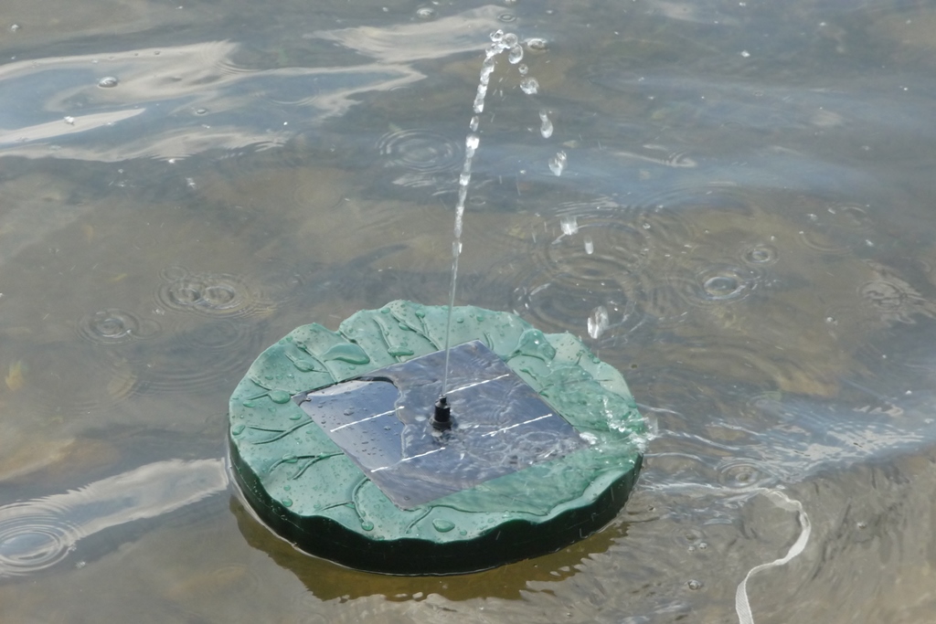 Mein Testblog Nicki testet den Duramaxx Sunfountain Garten Teich