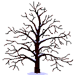baum5.gif