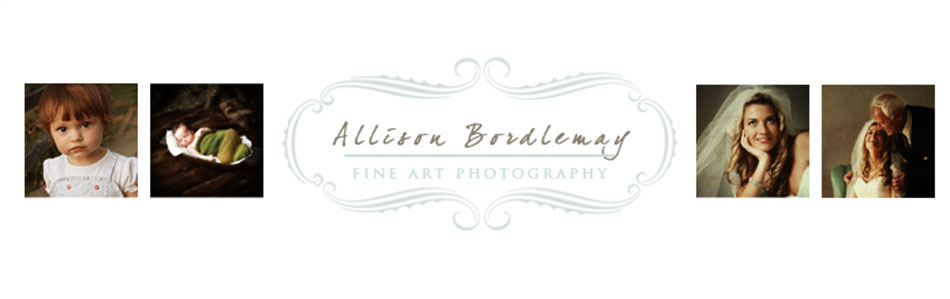 Allison Bordlemay Photography
