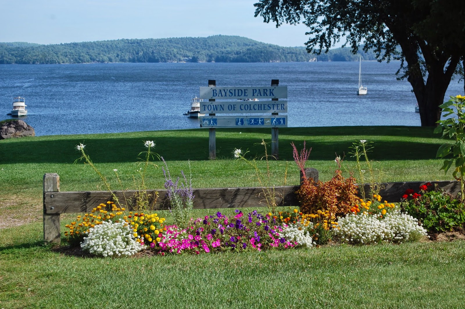 Sprouts Flowers in Mallett's Bay Colchester Vermont