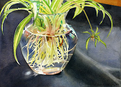 plant spider roots watercolor painting rooting murphy susan watercolour avis step showing houseplant paint