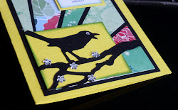 fly birds got