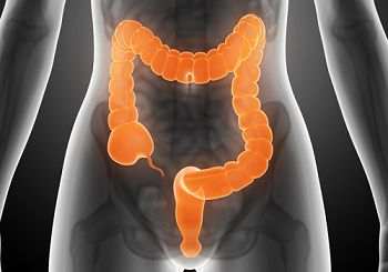 Los prebioticos mejoran la salud del colon salud-del-colon-mejorar