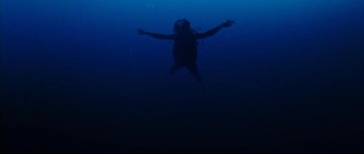 Deep Blue Sea 2 2018 DVDRip XviD AC3-EVO ReleaseBB