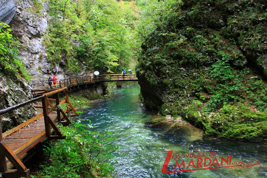 Pasarelas de Vintgar Gorge