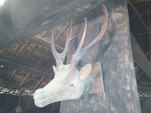 Decorative Stag head inside Wangnao konyak hut.