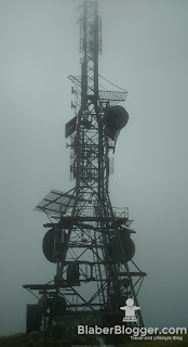 The tower in the Taranaki mountain near Taurangi lodge