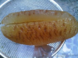 Teripang Emas Tips Mengatasi Penyakit Kuning