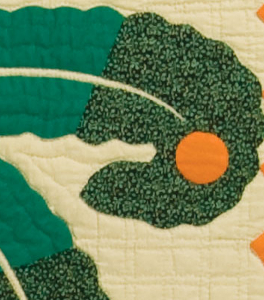 Barbara Brackman's MATERIAL CULTURE Mountain Mist's Princess Feather