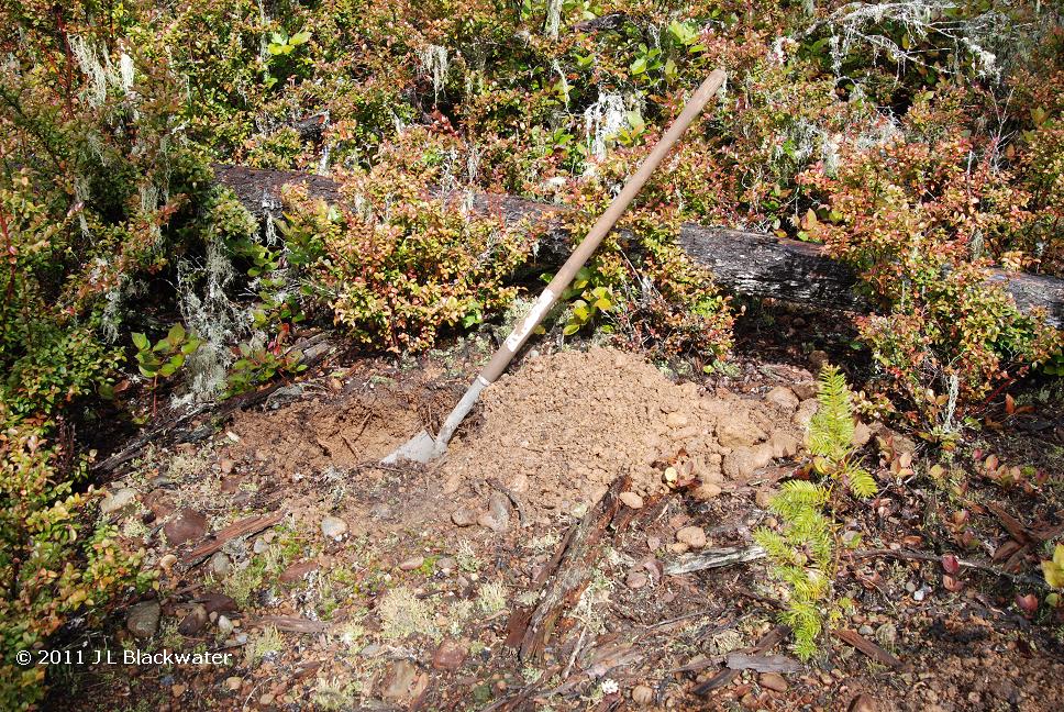 Arbor Edge Plastic Round Tree Ring Arbor Tool Galleries