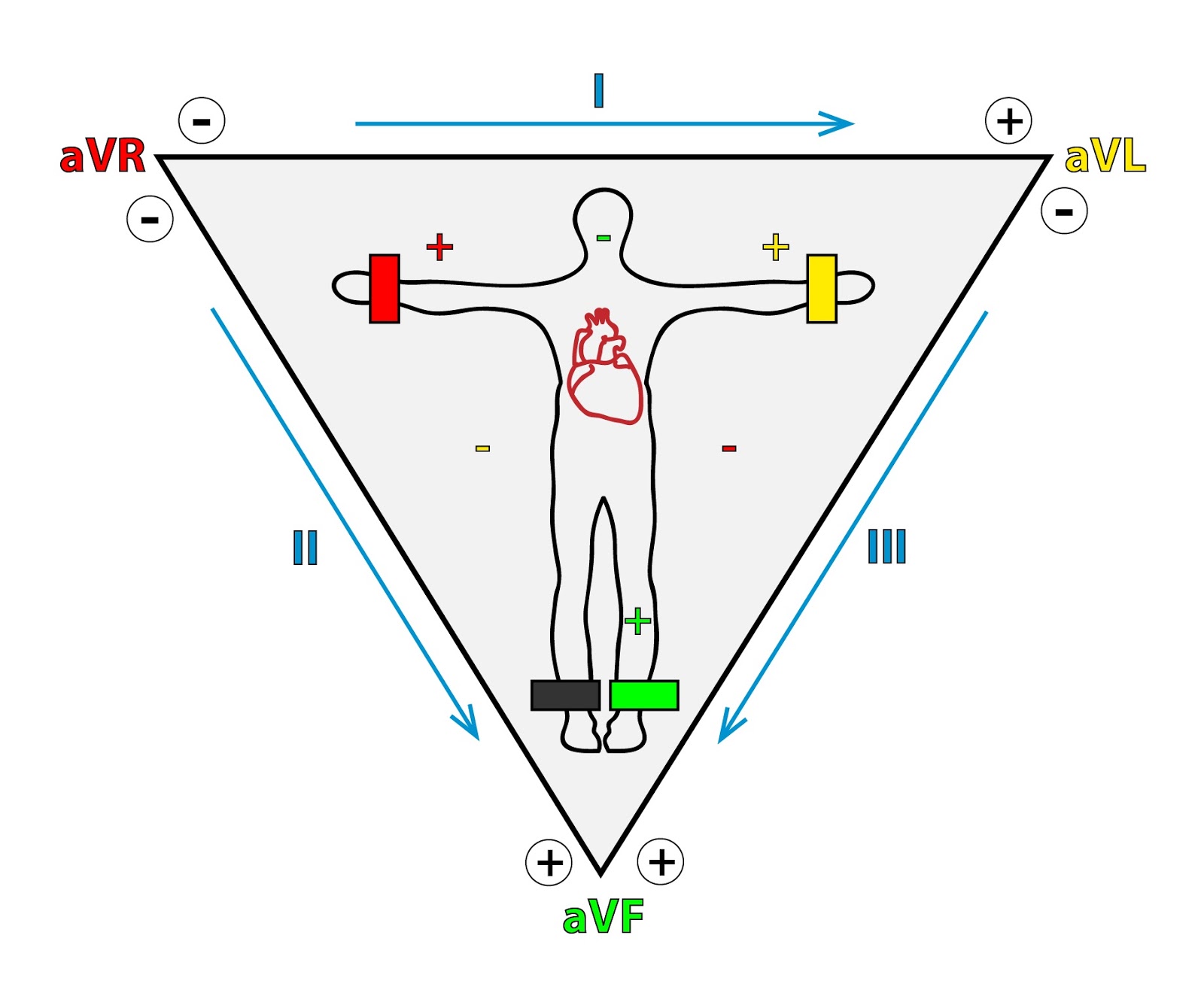Manuali di Medicina Principi di elettrofisiologia (Capitolo 2.5.1)