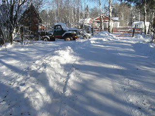 Vinterpromenad%2Bp%25C3%25A5%2Bmin%2Blunch%2B%25284%2529 - Bra medicin mot min förkylning