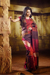 Trisha Krishan in Saree for advertisement Trisha Krishan in Saree Images for advertisement