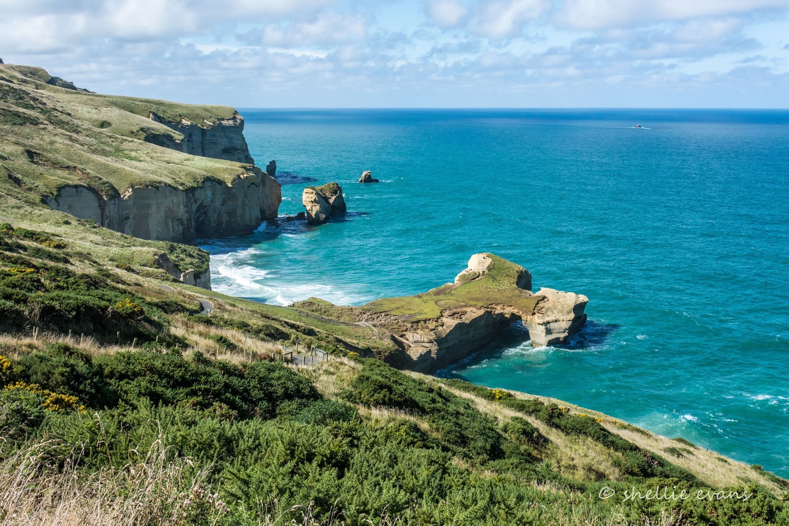 Two Go Tiki Touring Tunnel Beach Dunedin