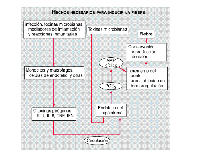 Migralepsia emedicina hipertensión Migralepsia emedicina hipertensión