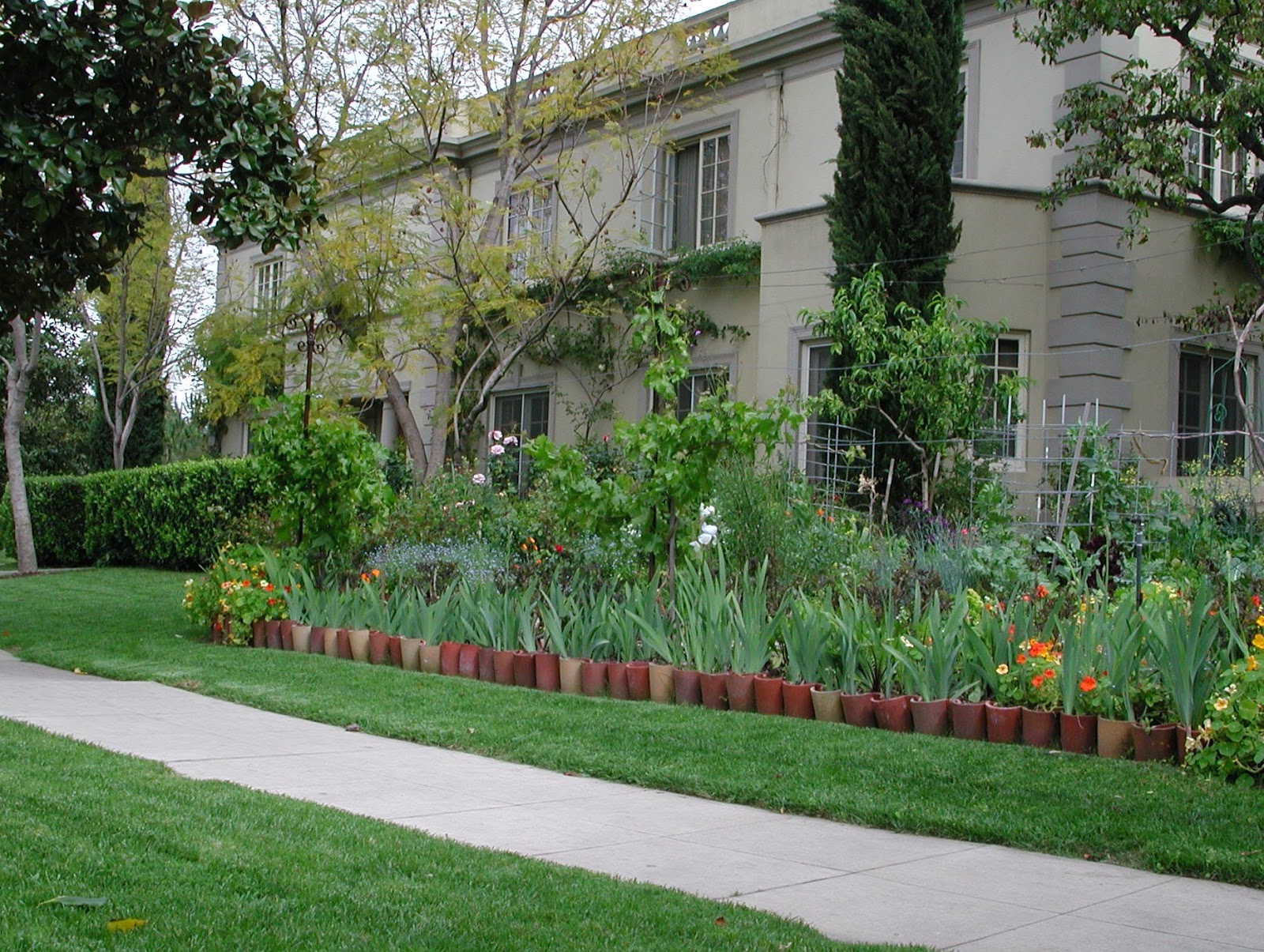 Fairy Yardmother Landscape Design: Front Yards -- Veggie ...