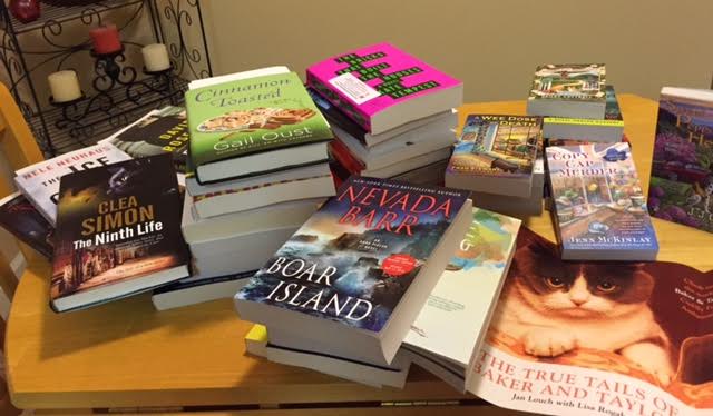 lesa s book critiques