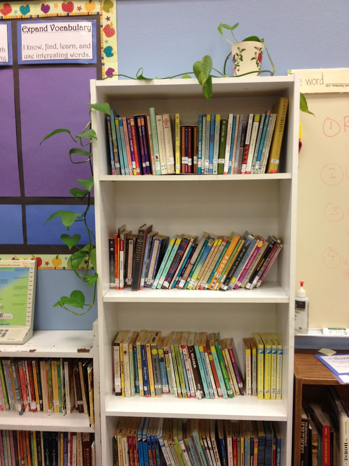 Apples of Your Eye! ~*~: Organizing Your Classroom Library