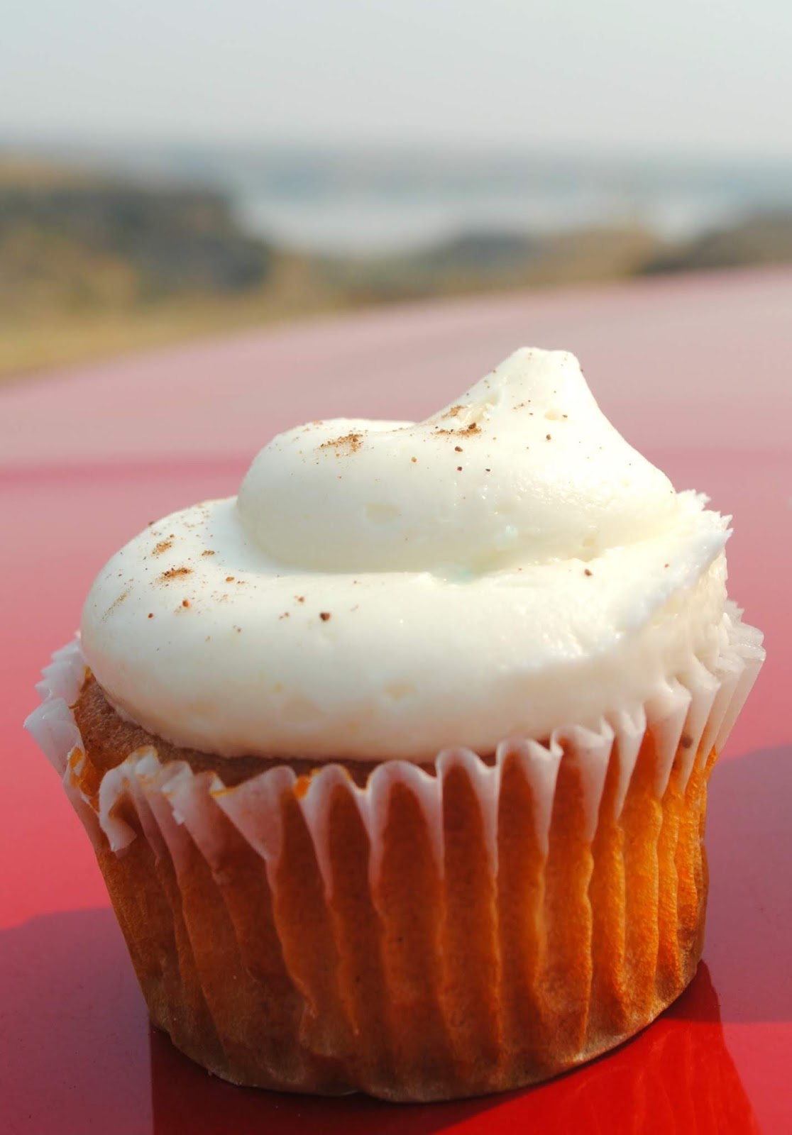 Fizzy Party Cupcake Review Cupcake's Bakery and Deli