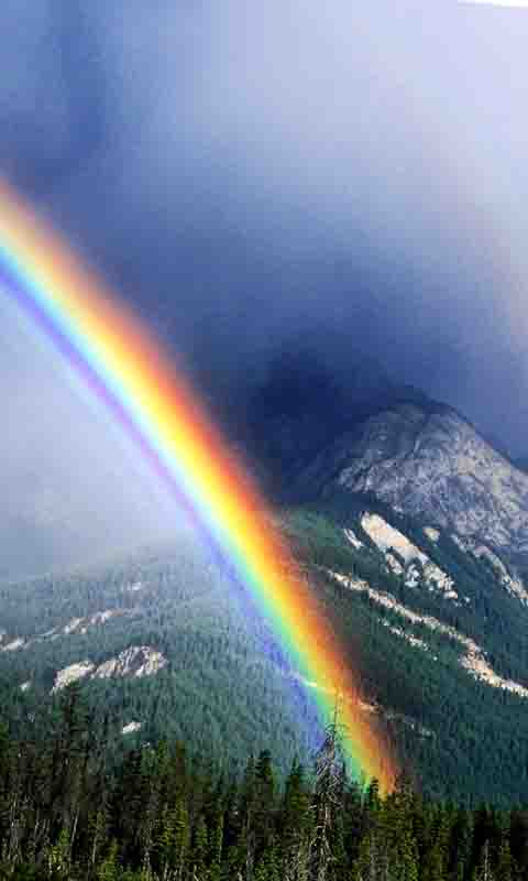 Fondos para Whatsapp! | patada de caballo: Arcoiris Fondos Fondos para Whatsapp! | patada de caballo: Arcoiris Fondos