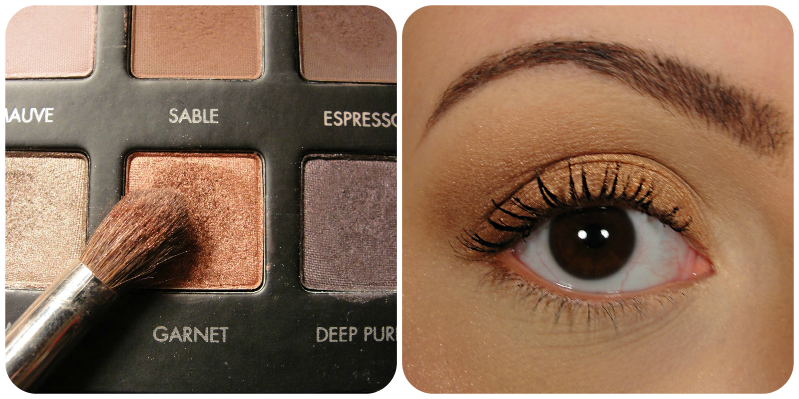 Beauty Guide 101 Tutorial Golden Eye ft. Lorac Pro Palette