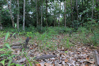makam ka loesoh