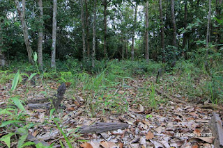 makam ka loesoh belitung timur