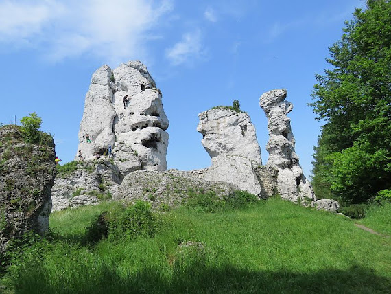 niedzwiedz Niedźwiedź, Sfinks i Lalka