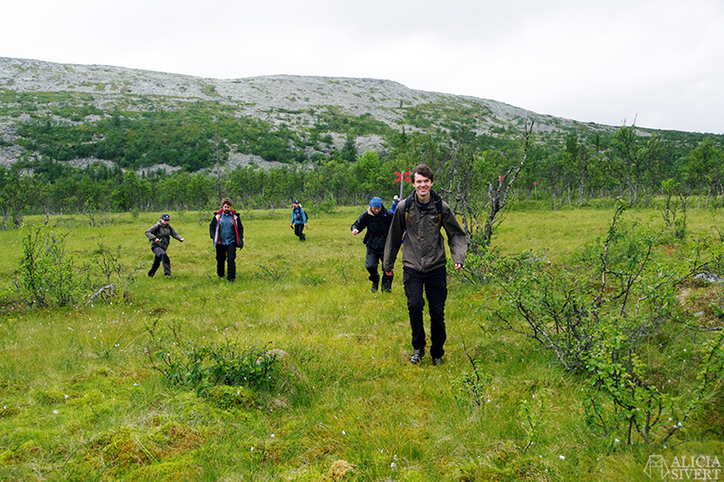 Hiking in Vemdalsskalet, Härjedalen. Photo by Alicia Sivertsson.
