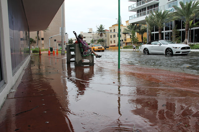 The Big Wobble - LOOK AT THE PICTURES Kingtide2015_sidewalk