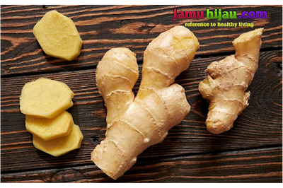 manfaat jahe , Jahe untuk perawatan kulit, jamu hijau, life insurance manfaat jahe , Jahe untuk perawatan kulit, jamu hijau, life insurance