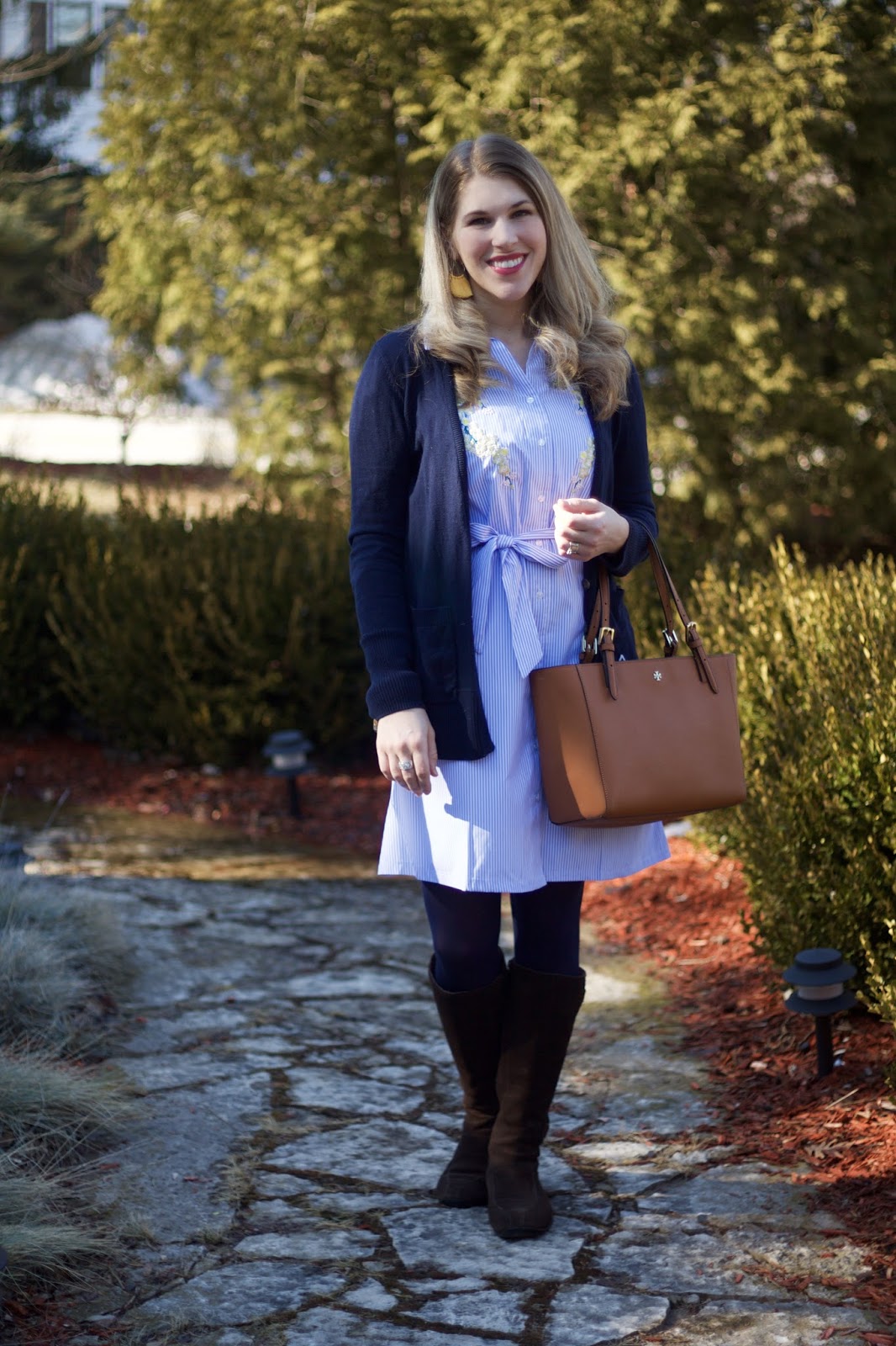 Embroidered Pinstriped Dress
