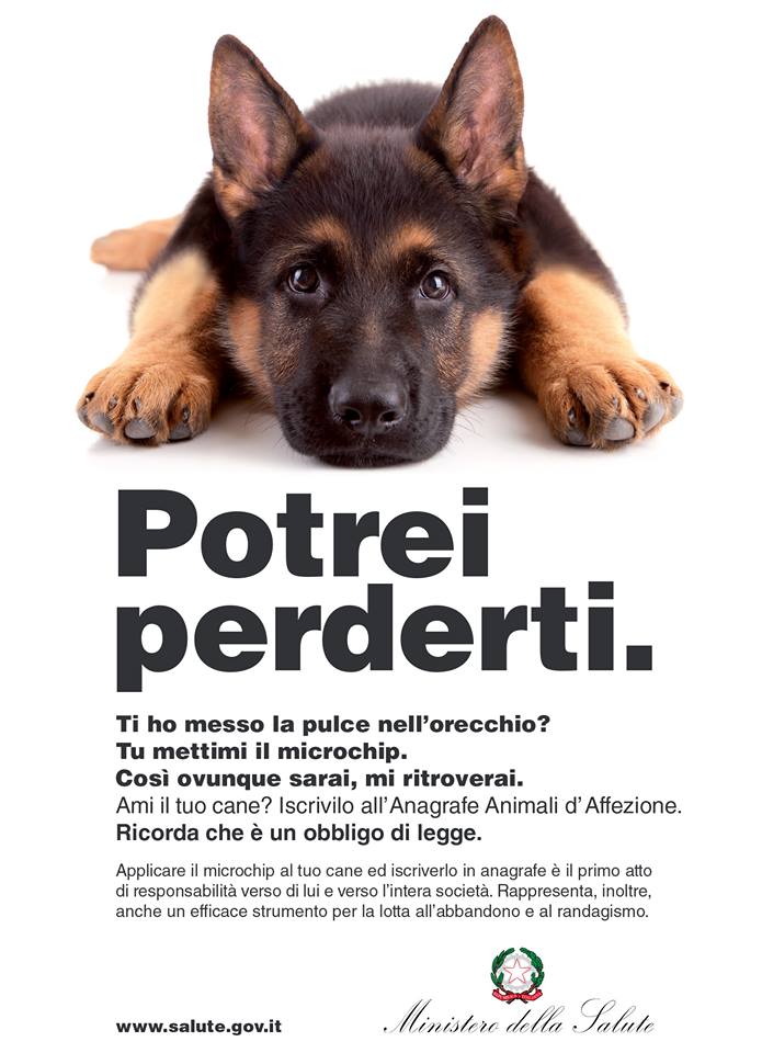 Iscrivete il vostro cane all'anagrafe canina, potreste perderlo!